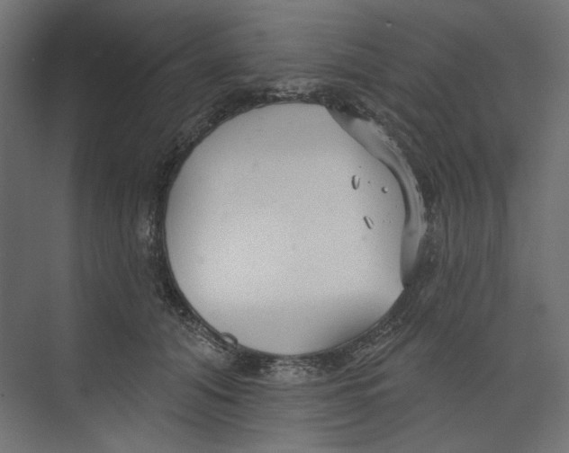 X0000073830608200609071517