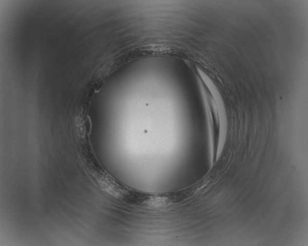 X0000073830609200609071517