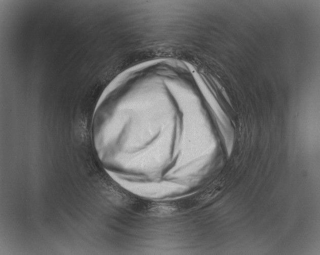 X0000073830610200609071517