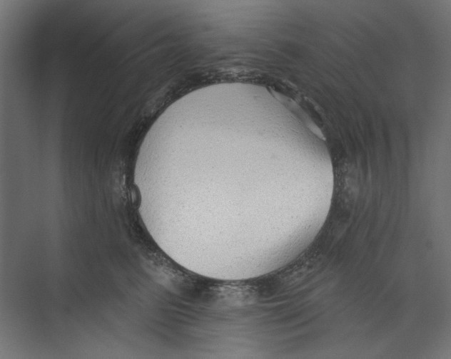 X0000073830615200609071516