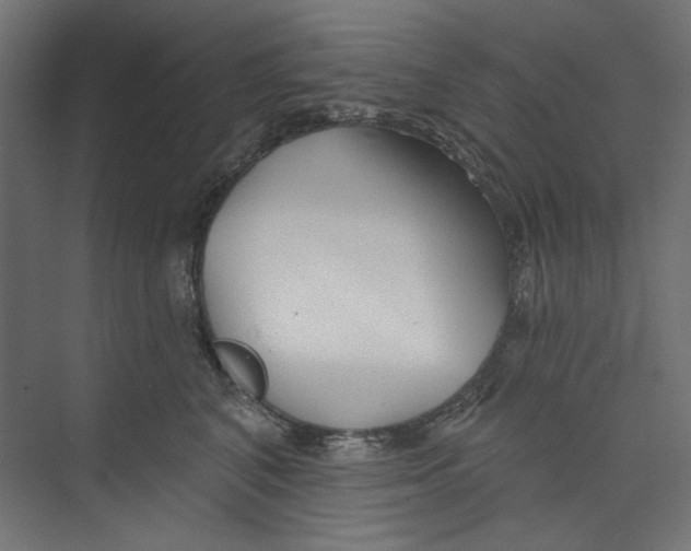 X0000073830616200609071516