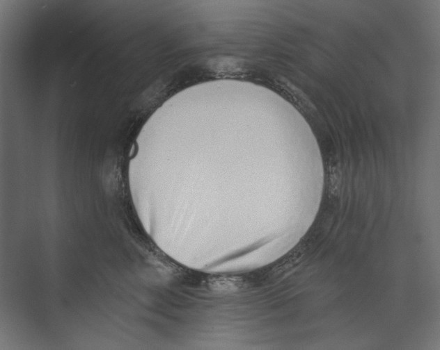 X0000073830618200609071516