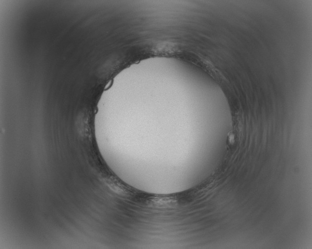 X0000073830619200609071516