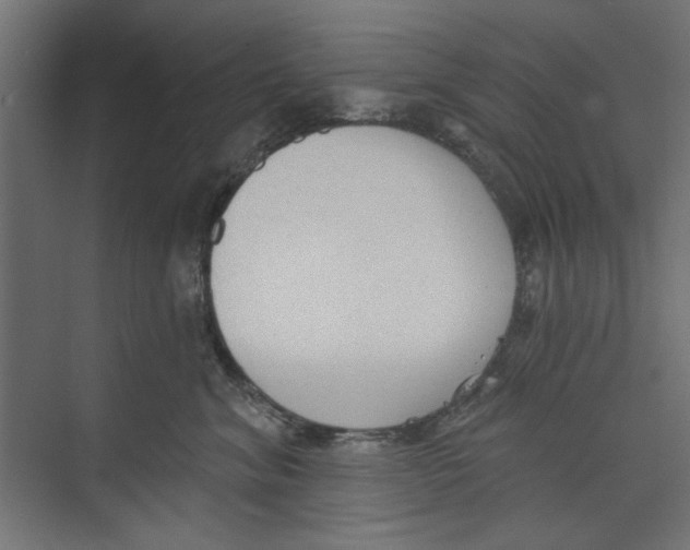 X0000073830620200609071516