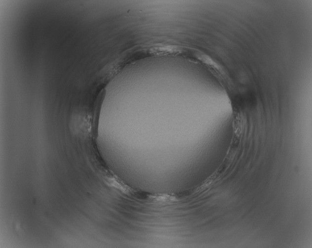 X0000073830621200609071516