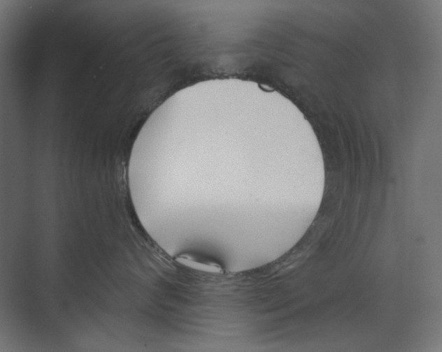 X0000073830624200609071516