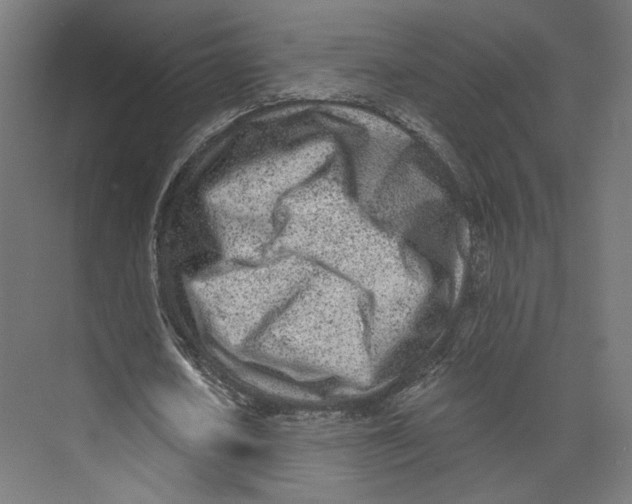 X0000073830626200609071516