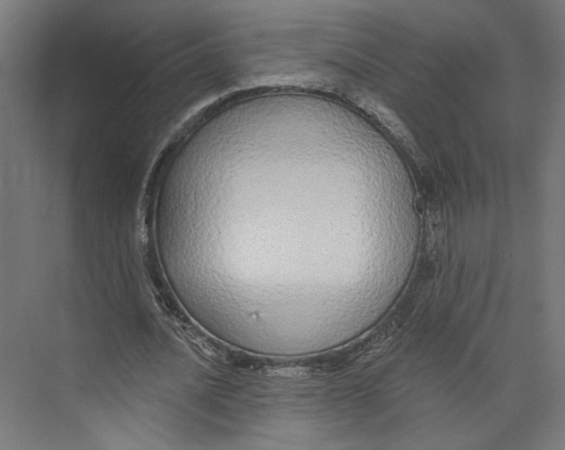 X0000073830628200609071516