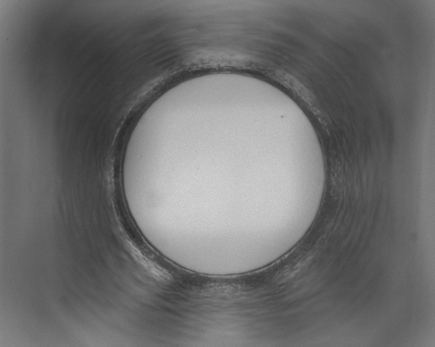 X0000073830629200609071516