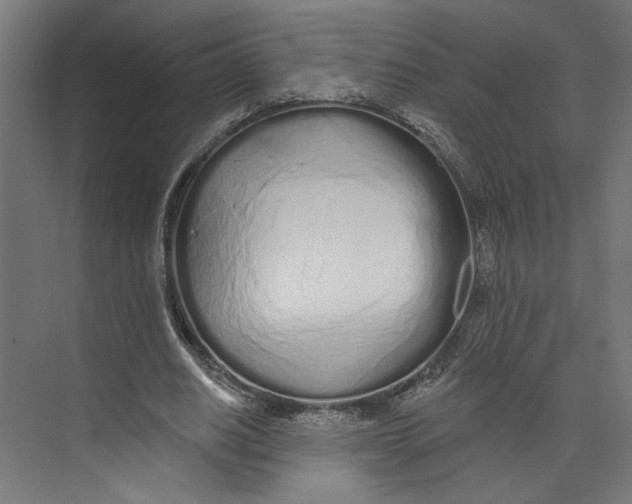 X0000073830630200609071516