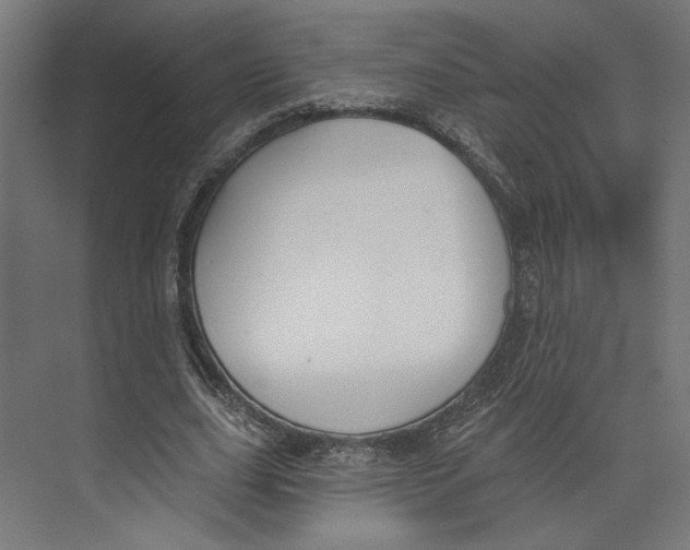 X0000073830631200609071516