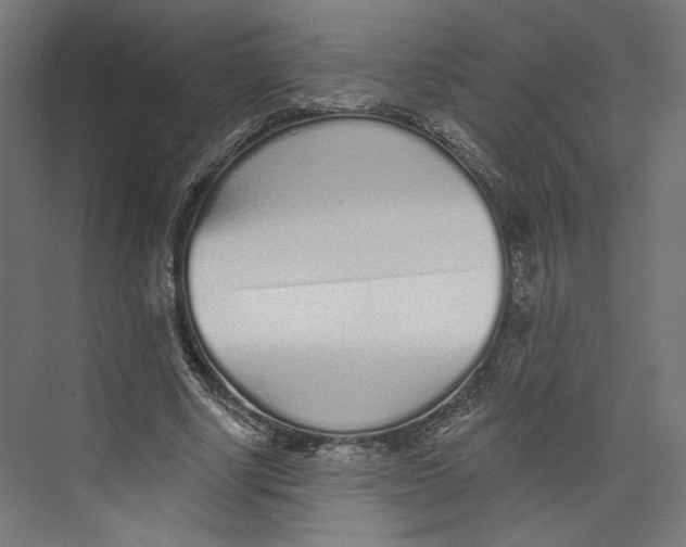 X0000073830634200609071516