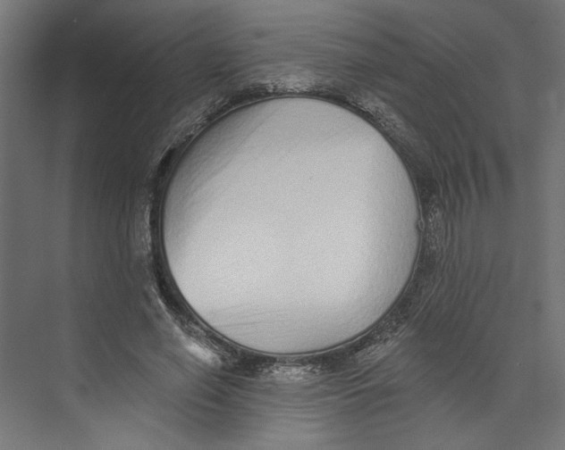 X0000073830638200609071516