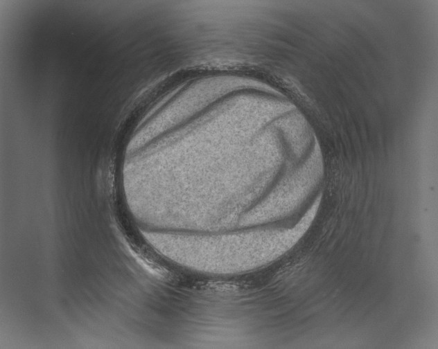 X0000073830640200609071516