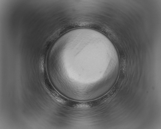 X0000073830644200609071516