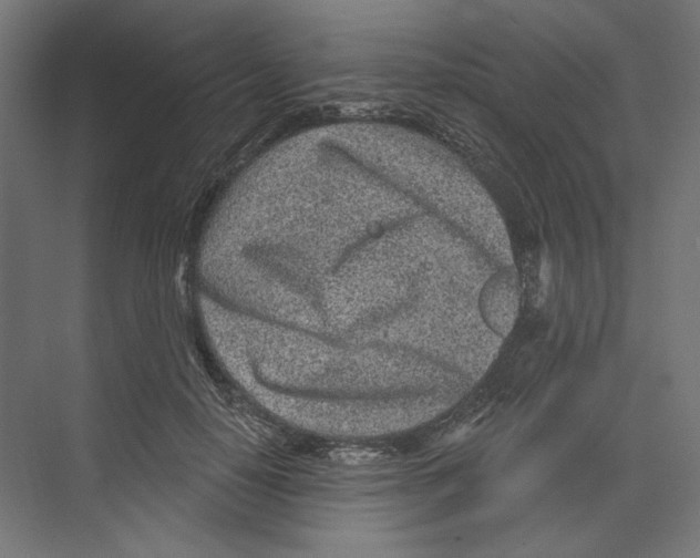 X0000073830650200609071516