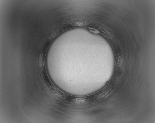 X0000073830651200609071516