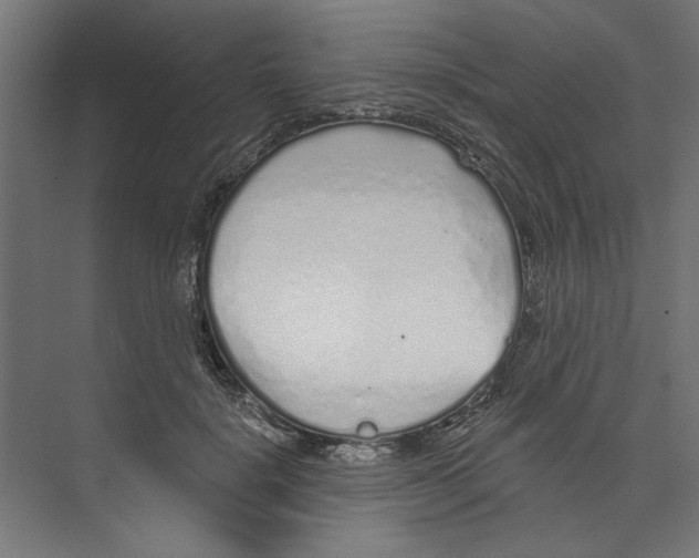 X0000073830652200609071516