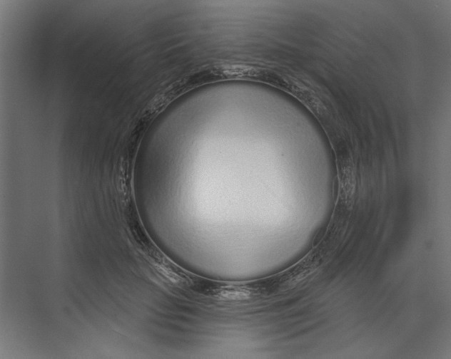 X0000073830653200609071516