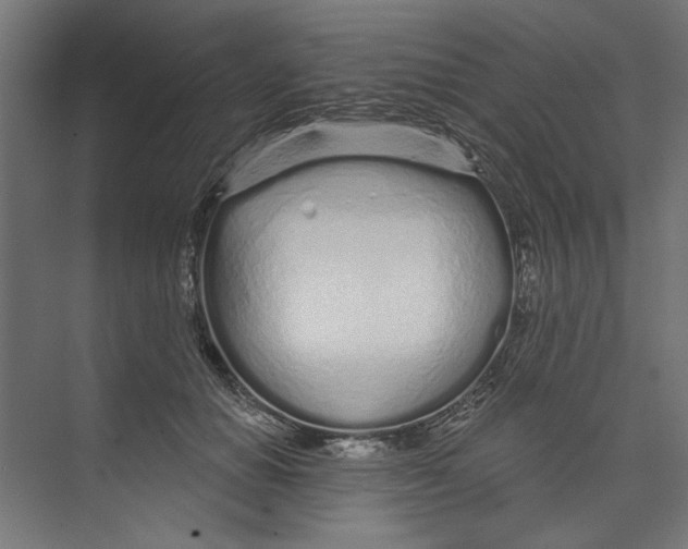 X0000073830654200609071516