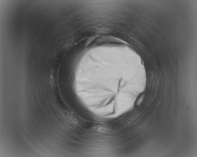 X0000073830655200609071516