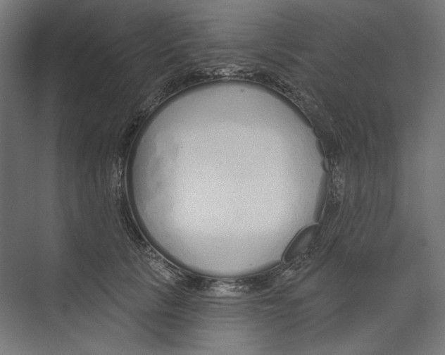 X0000073830657200609071516