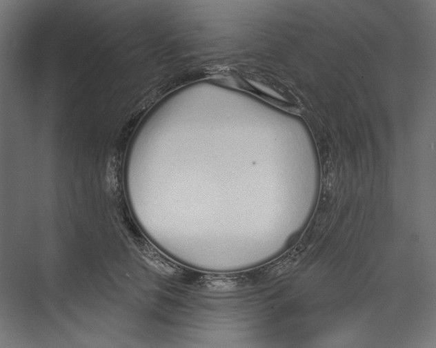 X0000073830658200609071516