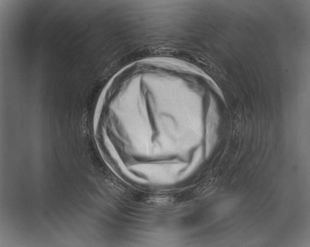 X0000073830659200609071516