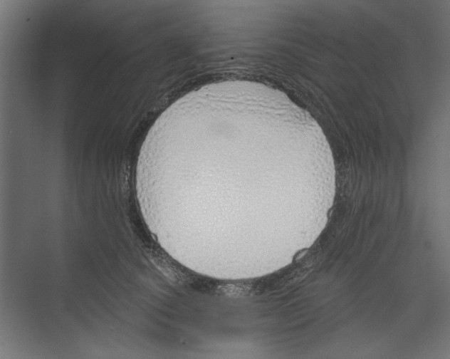 X0000073830660200609071516