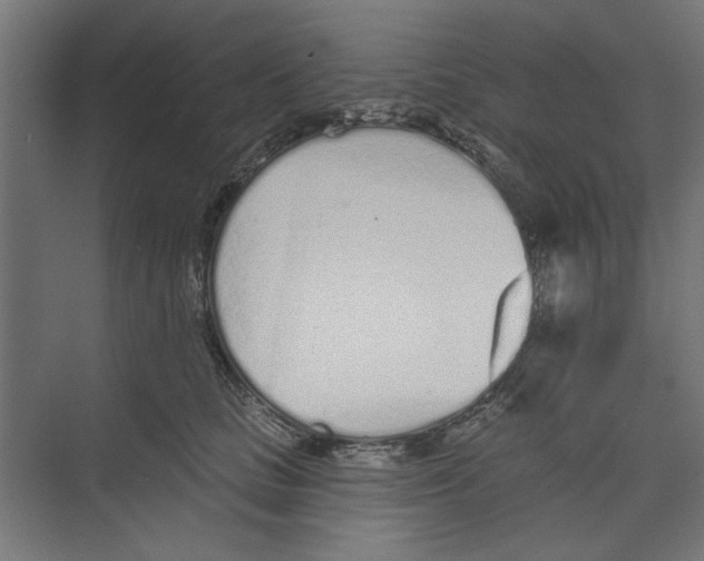 X0000073830661200609071516