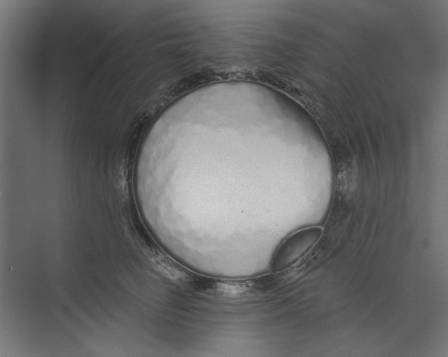 X0000073830662200609071516