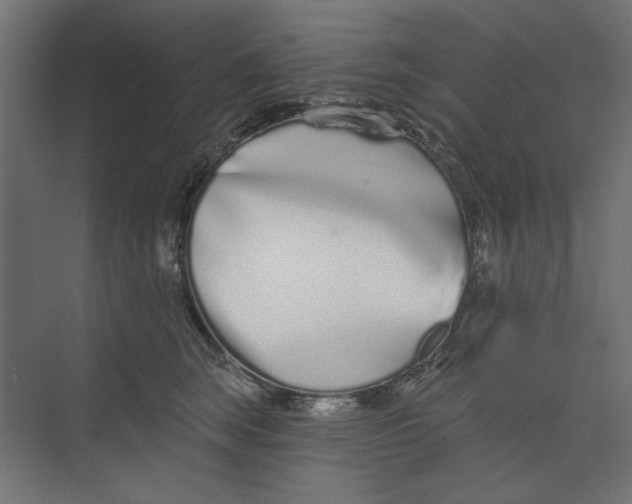 X0000073830663200609071516