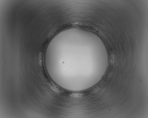 X0000073830664200609071516