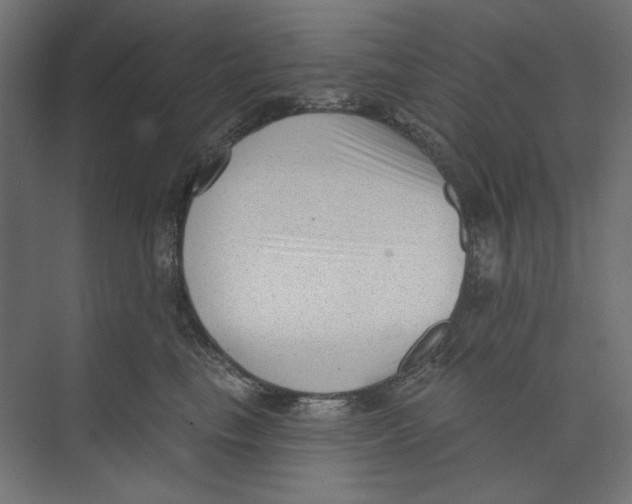 X0000073830665200609071516