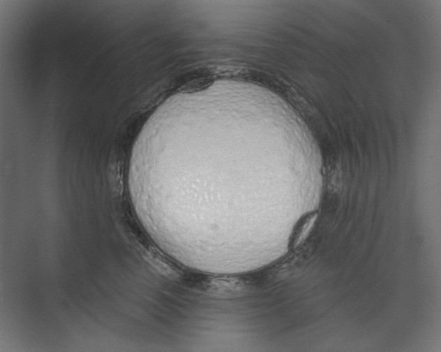 X0000073830666200609071516