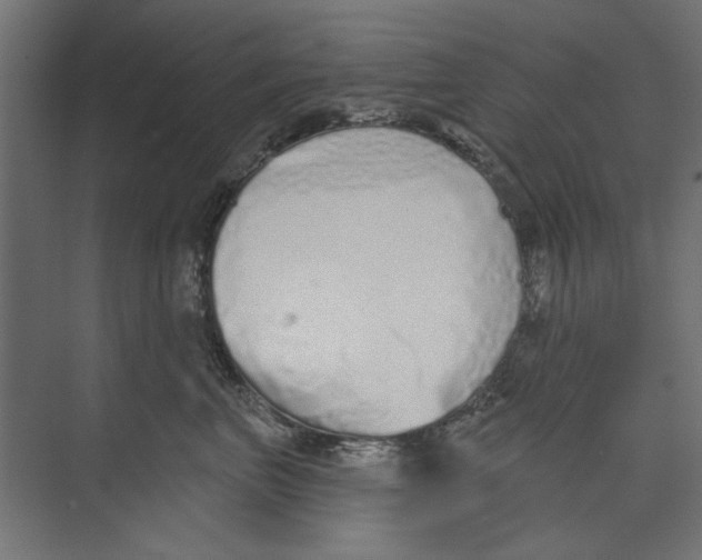 X0000073830667200609071516