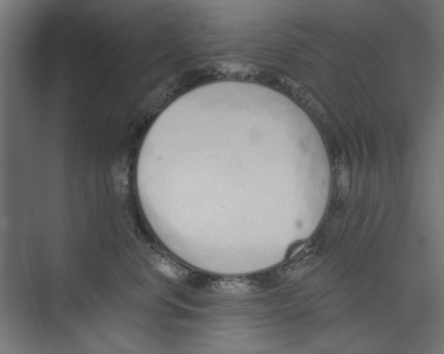 X0000073830668200609071516