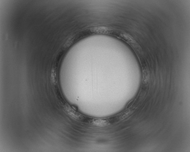 X0000073830669200609071516