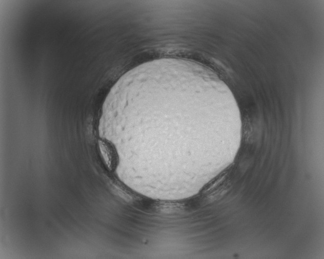 X0000073830670200609071516