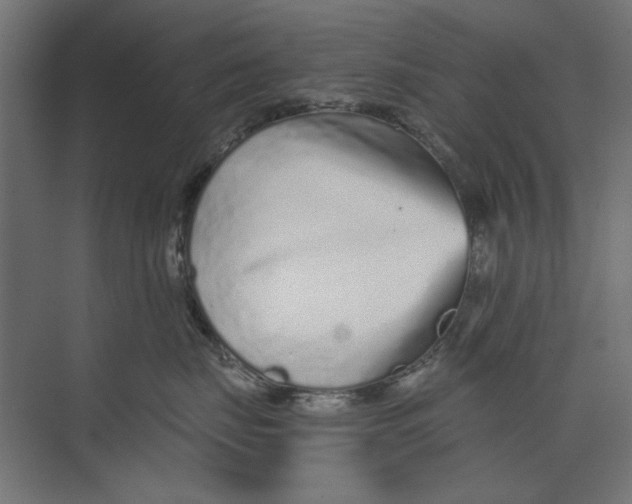 X0000073830671200609071516