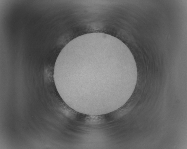 X0000073830672200609071516