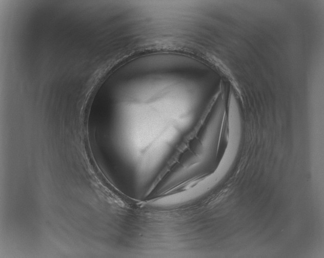 X0000073830673200609071515