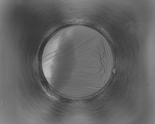 X0000073830674200609071515