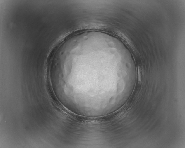 X0000073830675200609071515