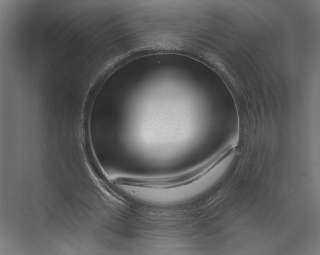 X0000073830677200609071515