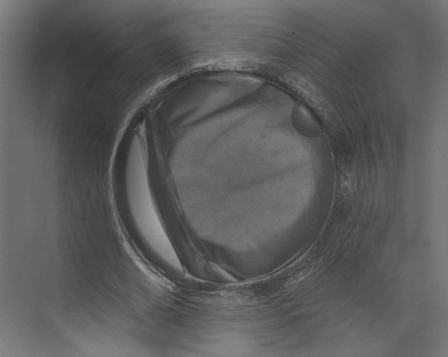 X0000073830678200609071515