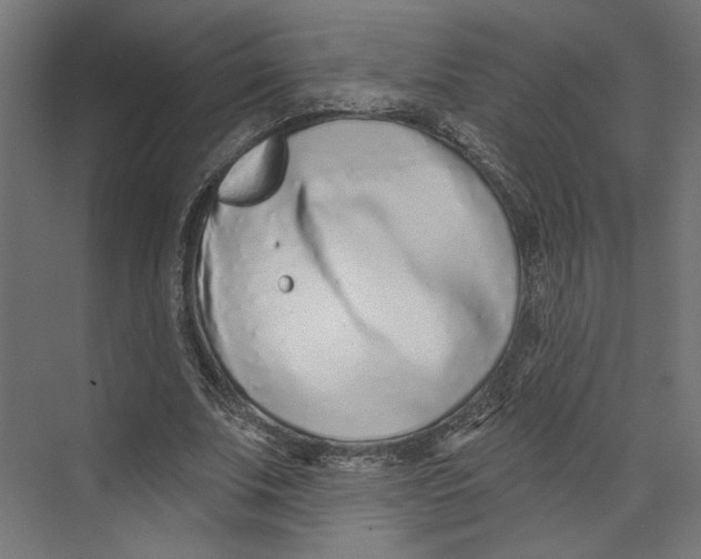 X0000073830679200609071515