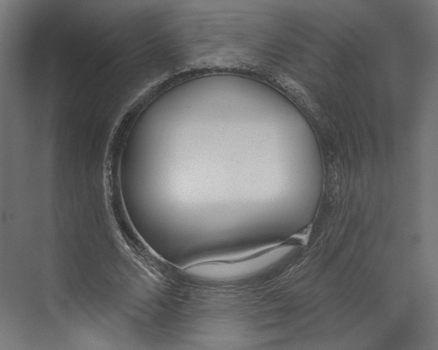 X0000073830680200609071515