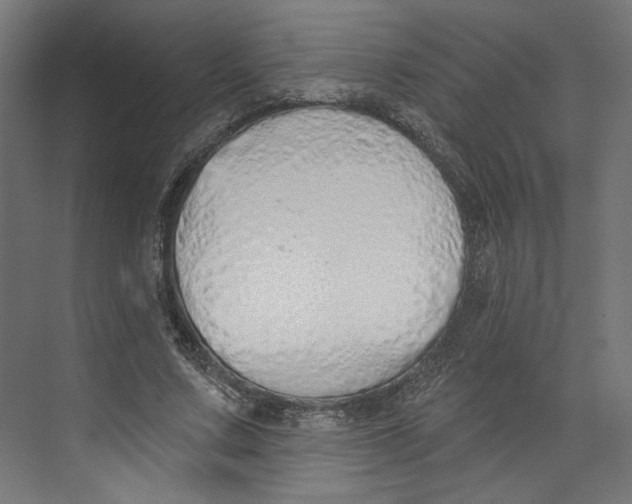 X0000073830683200609071515