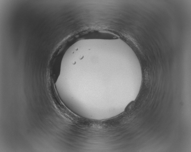 X0000073830684200609071515